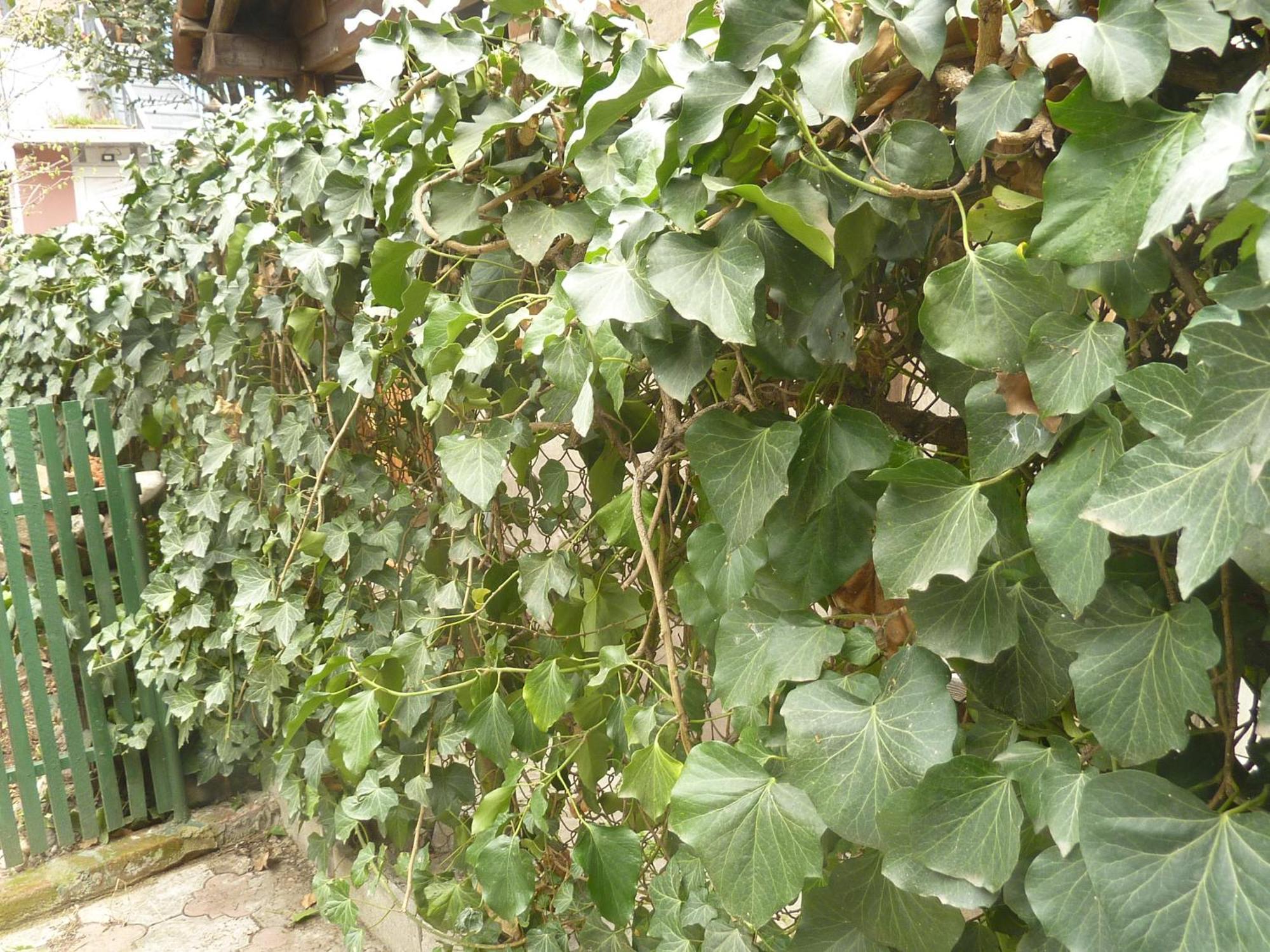 Gardens In Vake, Tbilisi Hotel Luaran gambar