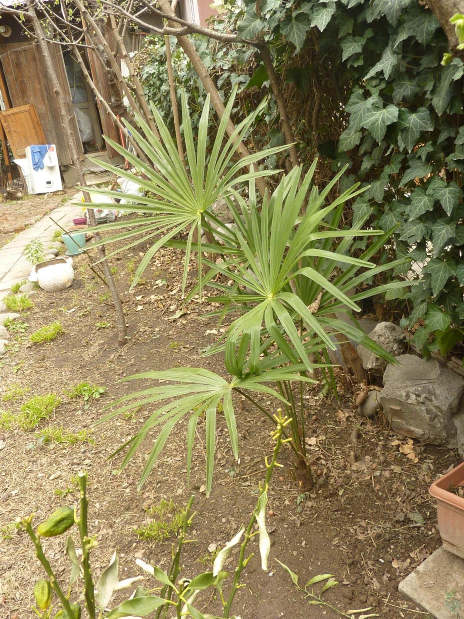 Gardens In Vake, Tbilisi Hotel Luaran gambar
